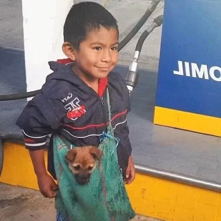Nghèo mà có cậu vàng thì vẫn vui Nghèo mà có cậu vàng thì vẫn vui