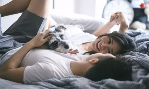 Ảnh:ManofMany. Ảnh:ManofMany.