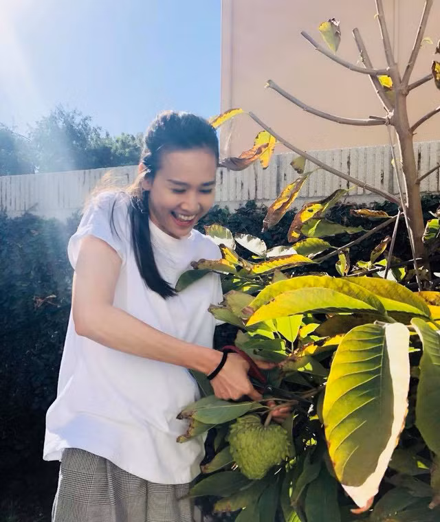 Dương Mỹ Linh vốn đam mê nấu ăn, làm vườn, vì thế cô lấy những đam mê này làm nguồn vui mỗi ngày.