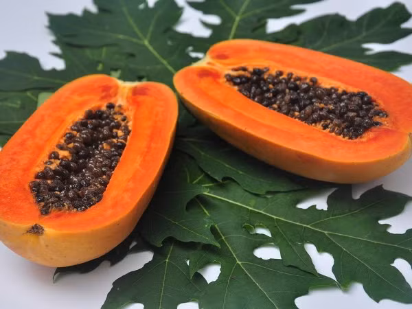 Sữa chua và đu đủ: Giàu vitamin A, B, C, đu đủ giúp tăng khả năng bảo vệ da và đẩy mạnh sản sinh collagen.