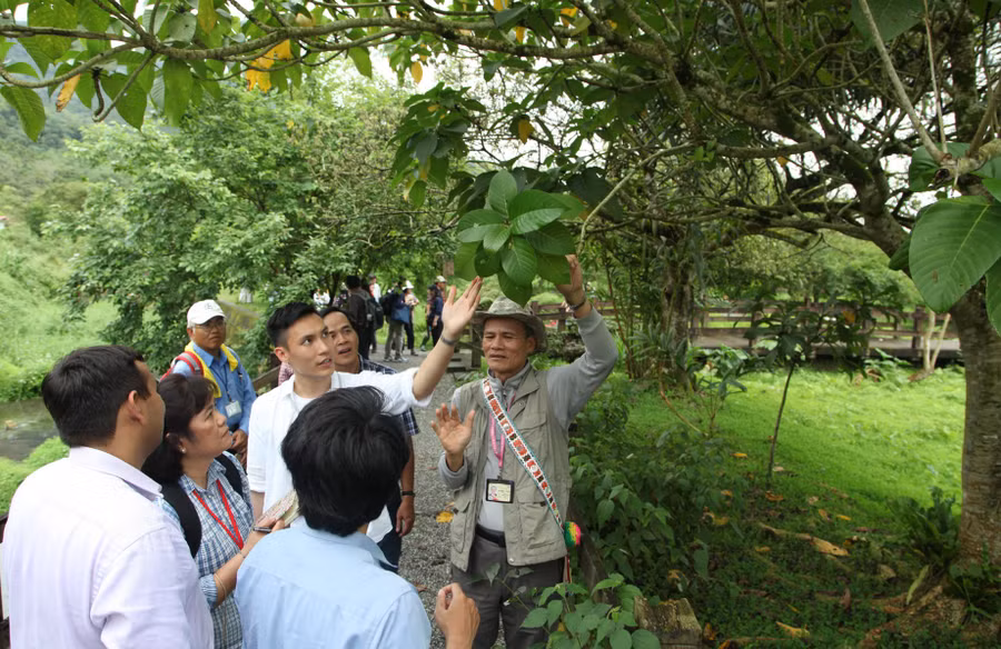 Tại bất cứ rãnh thoát nước nào của công viên sinh thái đầm lầy Mataian, bạn có thể tìm thấy dấu tích của cá, tôm, vỏ sò và vỏ ốc xoắn. Có thể nói sự sống tràn ngập khắp nơi ở đây.