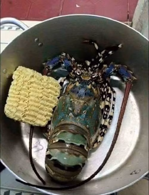 Nhà không có gì ngoài điều kiện.
