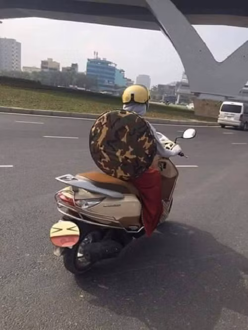 Ninja rùa xuất hiện trên phố Việt.