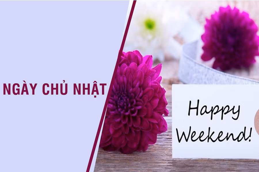 Tử vi 12 con giáp 28/5: Dần công việc trôi chảy, Sửu gặp vận đen