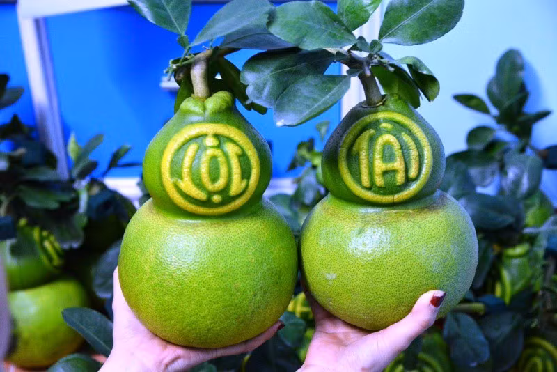 TPHCM: Săn trái cây độc, lạ phục vụ thượng đế ngày Tết - Ảnh 5.