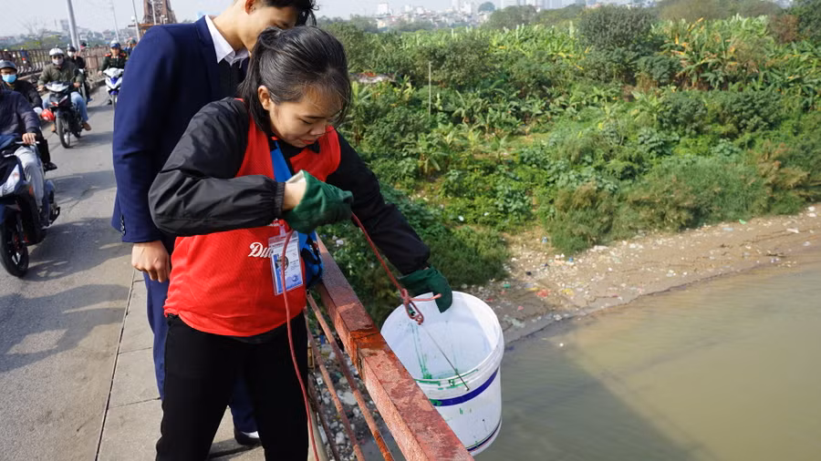 Cá được tình nguyện viên cho vào những chiếc xô nhựa...