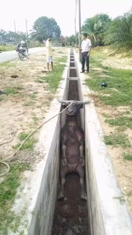 Giúp tôi với
