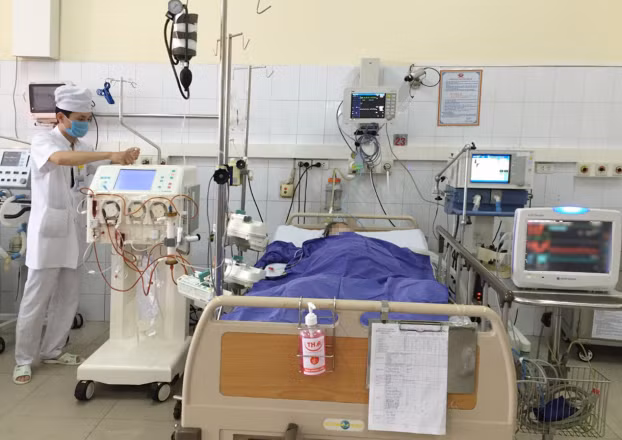 Sau 2 ngày ăn tiết canh, người đàn ông nhập viện trong tình trạng nguy kịch ảnh 2 Bệnh liên cầu lợn diễn biến nhanh với nhiều nguy cơ biến chứng nguy hiểm, cần phối hợp nhiều biện pháp hồi sức tích cực. Ảnh minh họa
