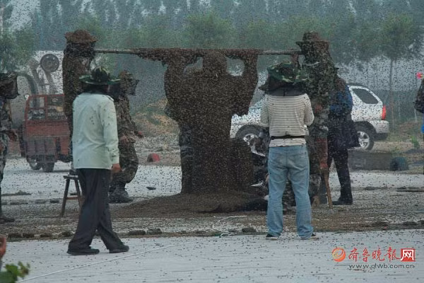 Người đàn ông mặc bộ đồ ong nặng nhất thế giới - Hình 3