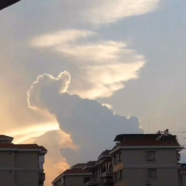 Ai nấy đều thích thú khi nhìn thấy hình ảnh này.