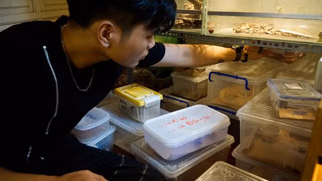 Chàng trai Hà Nội 10 năm nuôi rắn làm thú cưng - Hình 6