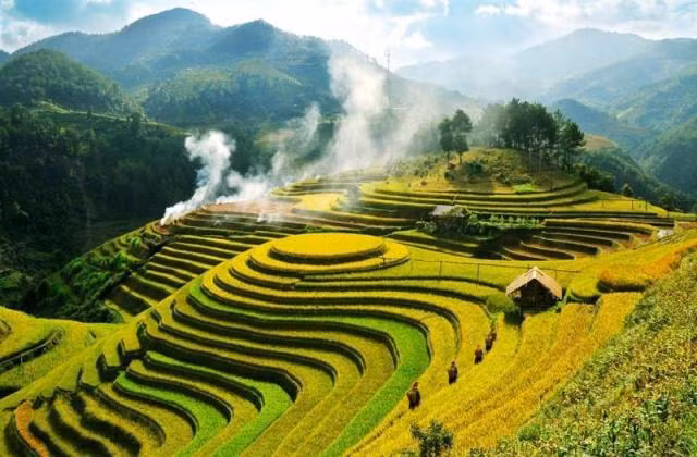 Mù Căng Chải (Yên Bái).