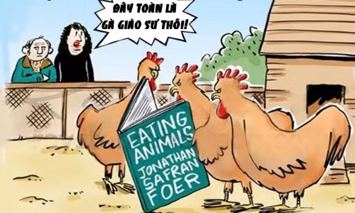 Gà giáo sư