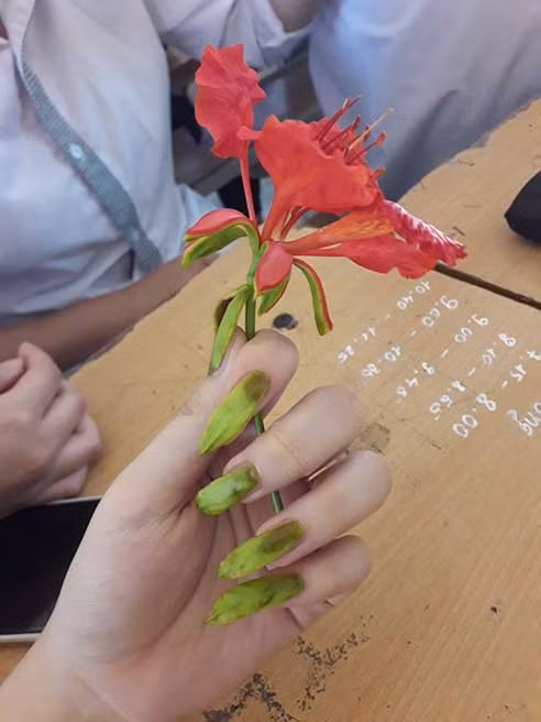 Ảnh: Mai Phuong./Không có muối.