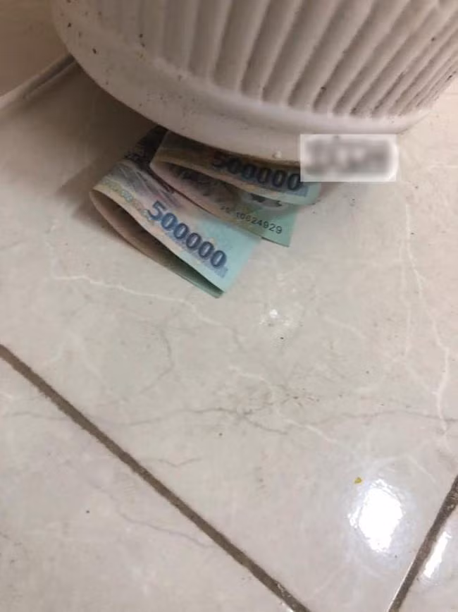 Đây là bí mật 'đáng sợ' của anh chồng bên dưới chậu cây phong thủy.
