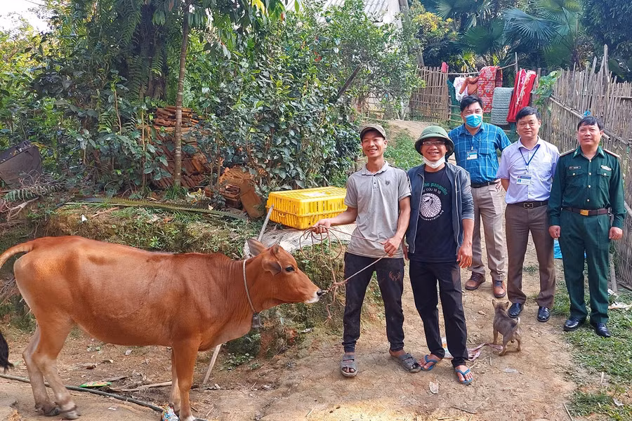 Trao bò giống cho người Đan Lai tại xã Châu Khê, huyện Con Cuông.