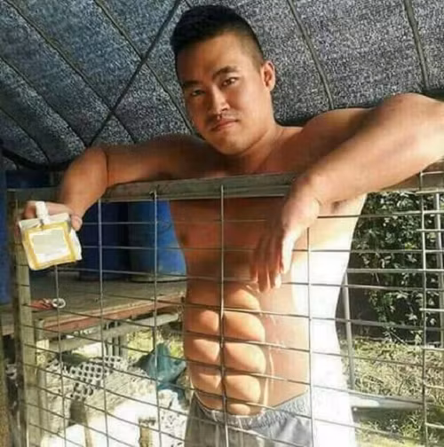 Bí kíp sở hữu cơ bụng sáu múi không cần tập luyện. Bí kíp sở hữu cơ bụng sáu múi không cần tập luyện.