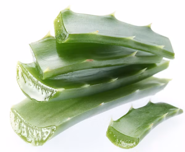 Gel lô hội Gel lô hội cũng là một nguyên liệu trị các vấn đề về da hiệu quả. Dùng gel lô hội thoa lên vùng da có vết rạn, massage nhẹ nhàng khoảng 10 phút rồi rửa sạch. Nên áp dụng liệu pháp này mỗi ngày. Gel lô hội cũng là một nguyên liệu trị các vấn đề về da hiệu quả. Dùng gel lô hội thoa lên vùng da có vết rạn, massage nhẹ nhàng khoảng 10 phút rồi rửa sạch. Nên áp dụng liệu pháp này mỗi ngày.