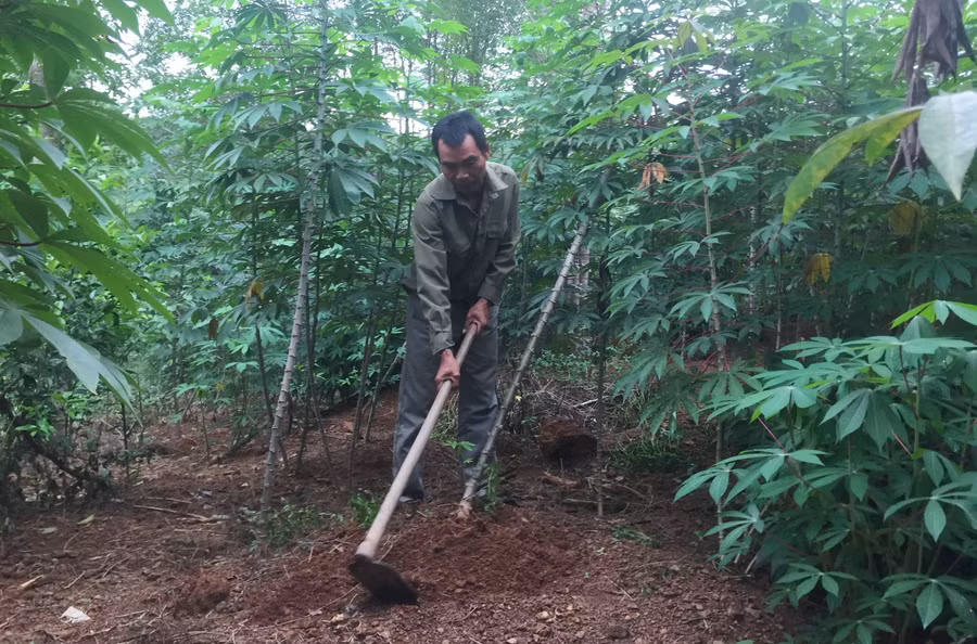 Nhờ cần cù lao động và có cách làm kinh tế đúng hướng nên gia đình ông Hồ Văn Trai đã sớm thoát nghèo vươn lên làm giàu bền vững. Nhờ cần cù lao động và có cách làm kinh tế đúng hướng nên gia đình ông Hồ Văn Trai đã sớm thoát nghèo vươn lên làm giàu bền vững.