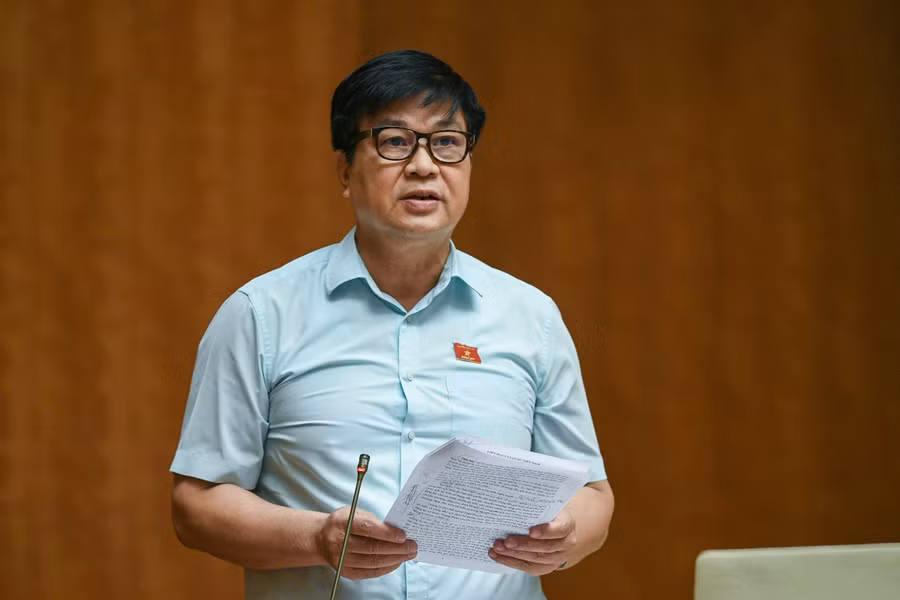Đại biểu Đỗ Ngọc Thịnh