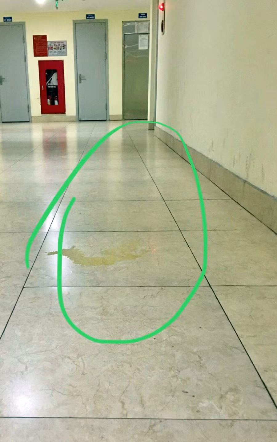 Sự cố đêm muộn khiến vợ chồng trẻ ‘tháo chạy’ khỏi chung cư