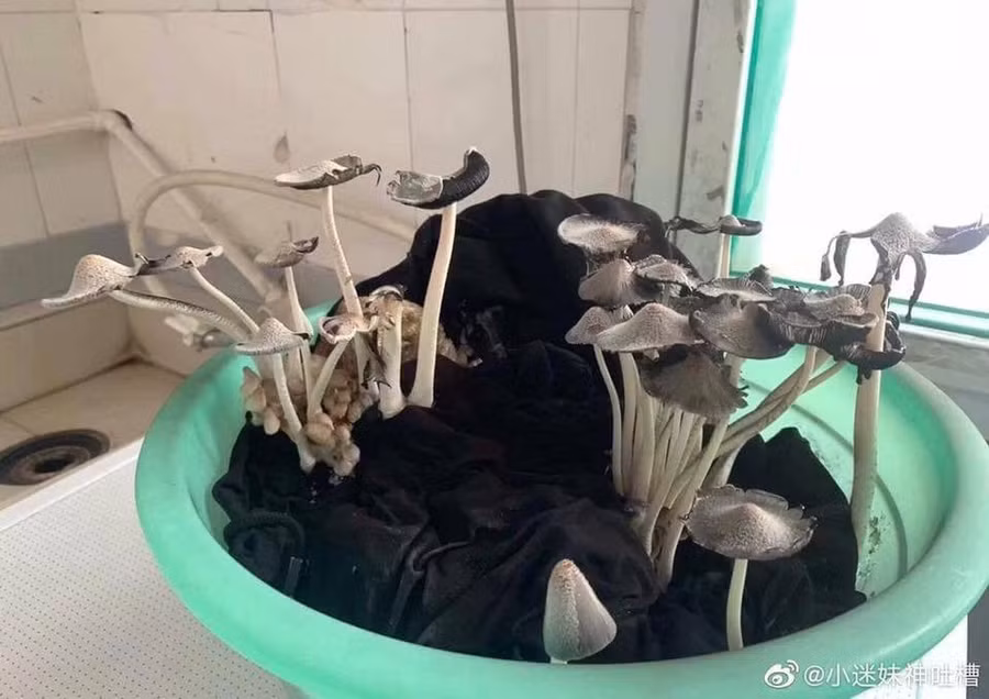 Làm sao để gây ấn tượng ngày tựu trường? ảnh 5