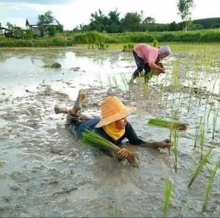 Làm sao để gây ấn tượng ngày tựu trường? ảnh 2