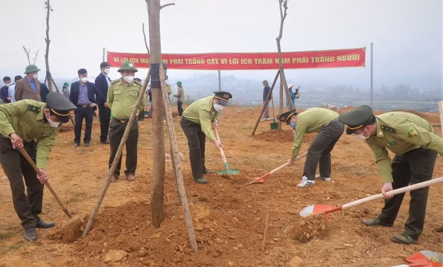 Tết trồng cây