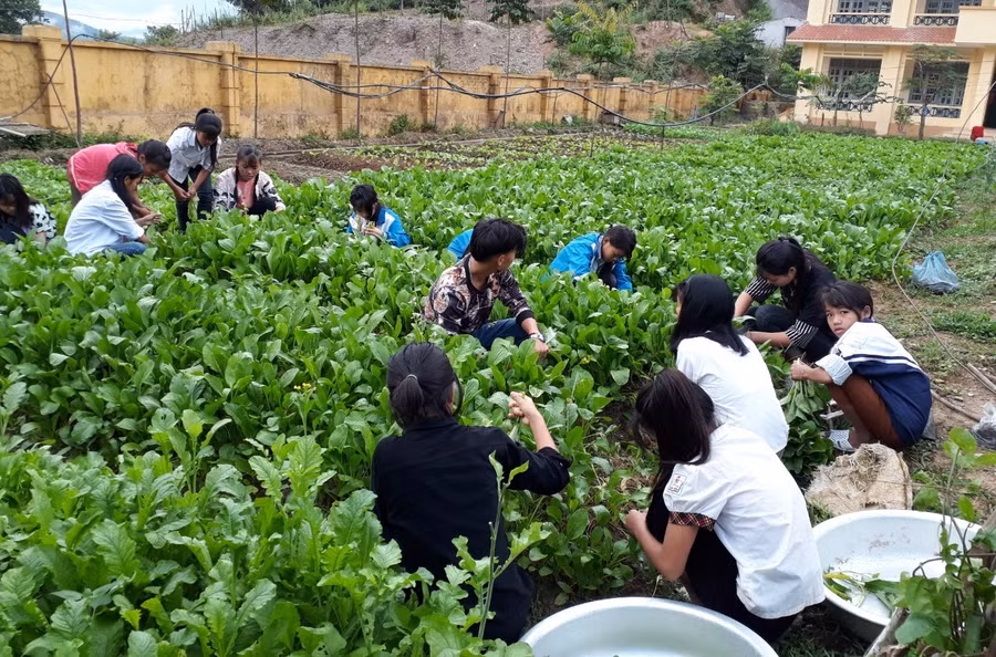 Sản phẩm học sinh làm ra được dùng trong những bữa ăn của các em