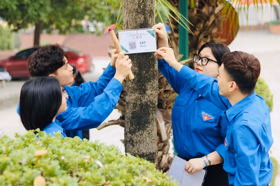 Gắn mã định danh bằng mã QR cho hệ thống cây xanh trong khuôn viên nhà trường.