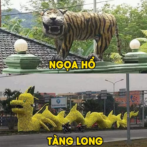 Ngọa hổ, tàng long. Ngọa hổ, tàng long.