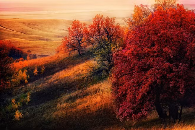 Xem những hình ảnh này mới thấy mùa thu ở đâu cũng đẹp không lời nào tả hết - Ảnh 1.