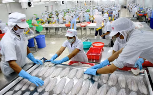 Tăng trưởng xuất khẩu đang dần cán đích
