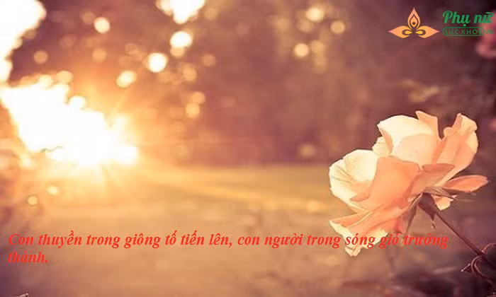 15 câu nói thổi bay bế tắc giúp tinh thần bạn vui vẻ ngay tức thì - Ảnh 11