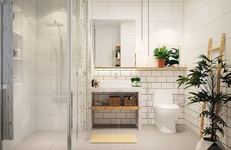 5 loại cây cảnh giúp nhà vệ sinh thơm mát 