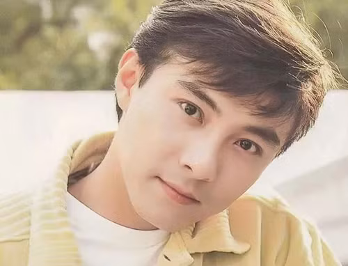 Câu nói không ngờ khiến Trương Vệ Kiện quyết để đầu trọc từ năm 1996 đến nay ảnh 1 Vẻ điển trai thời trẻ của Ngộ Không Trương Vệ Kiện