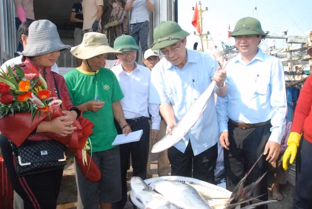 Tận mắt nhìn mẻ cá “siêu khủng” 100 tấn trong lưới ngư dân Quảng Trị - 9