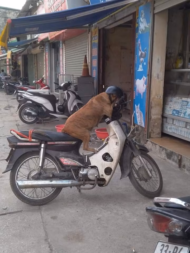 Đợi chờ