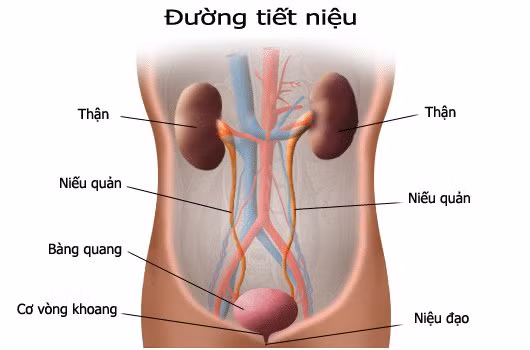 20170405_033704_418803_viem-duong-tiet-niemax-1800x1800.jpg