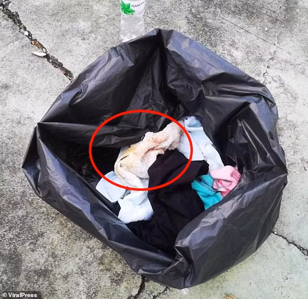 16768096-7310491-He_was_discovered_by_a_local_wrapped_in_a_rubbish_bag_with_what_-m-165_1564667653313
