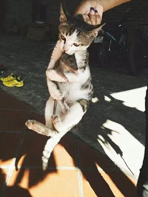 Không buông tay. Không buông tay.