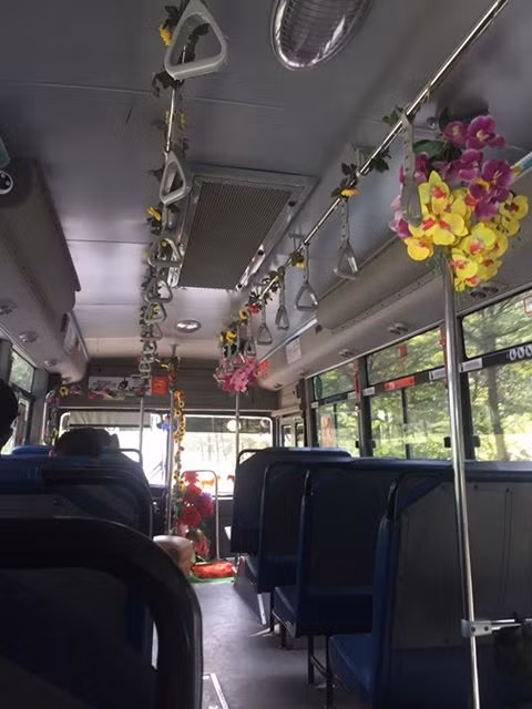Xe buýt ngày xuân. Xe buýt ngày xuân.