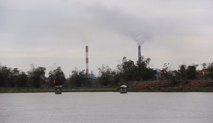 Sông Cầu tại khu vực Đồng Việt là nơi có nhiều cua da. 