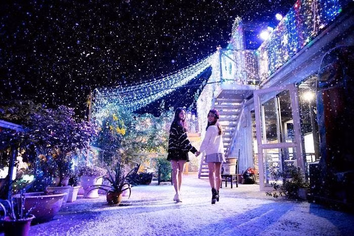 Khắp các trường đại học, hình ảnh của cây thông Noel hay ông già tuyết cũng đã xuất hiện trước đó nhiều ngày. Nhiều cách trang trí độc đáo khiến khuân viên các trường trở lên lung linh huyền ảo kỳ lạ. Ảnh tại Đại học Thăng Long