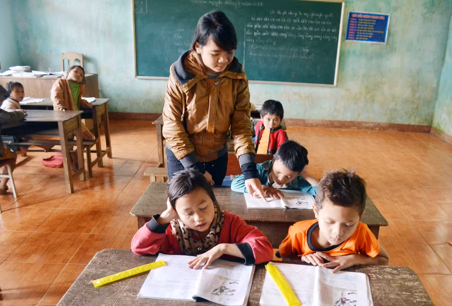 Băng rừng gieo chữ non cao