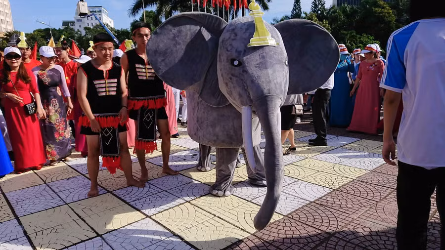 Chú voi Tây Nguyên đồng hành cùng hàng nghìn cổ động viên cổ vũ cho Thắng.
