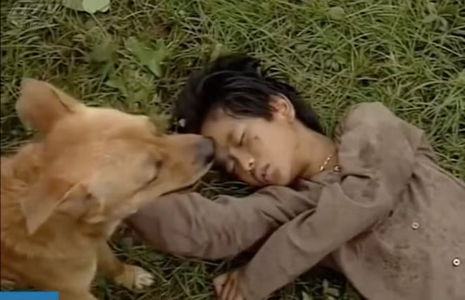 Câu chuyện ly kỳ về chú chó thông minh đóng phim "Đất phương Nam" ảnh 1 Cau chuyen ly ky ve chu cho thong minh dong phim