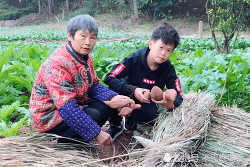 Cặp đôi 34 tuổi bỗng kiếm bộn tiền nhờ sở hữu ngoại hình trẻ con-3