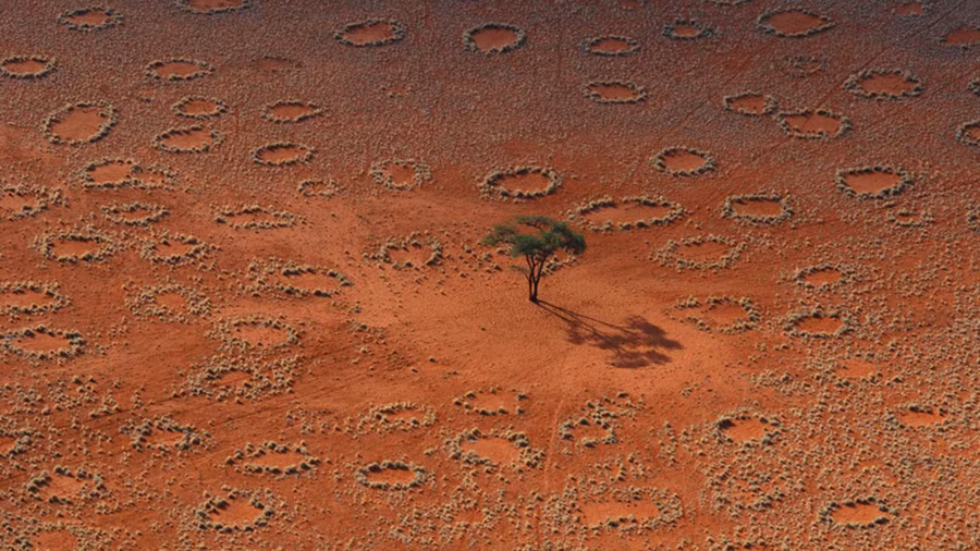 Vòng tròn kỳ bí trong sa mạc Namib.