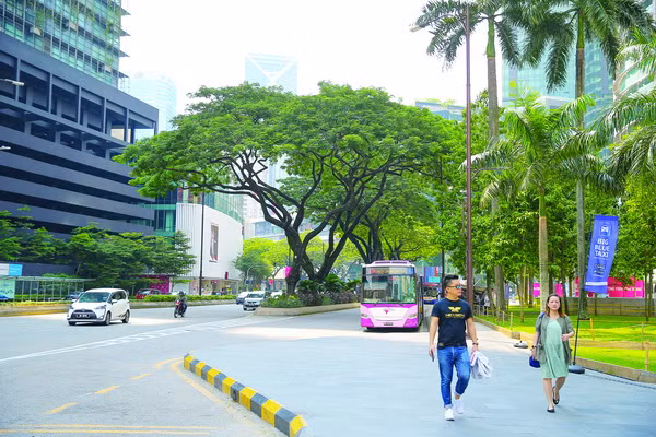Cuộc sống bình yên trong thành phố.